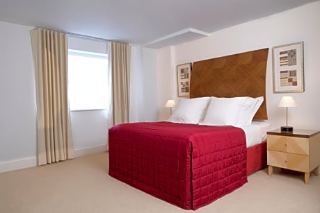 One-Bedroom Apartment with Sofa Bed