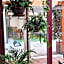 UNAHOTELS Eco Hotel Villa Costanza Venezia