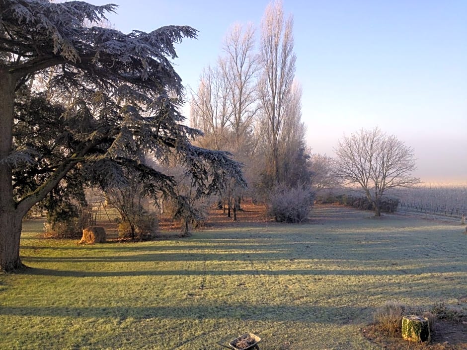 B&B Château Pierre de Lune