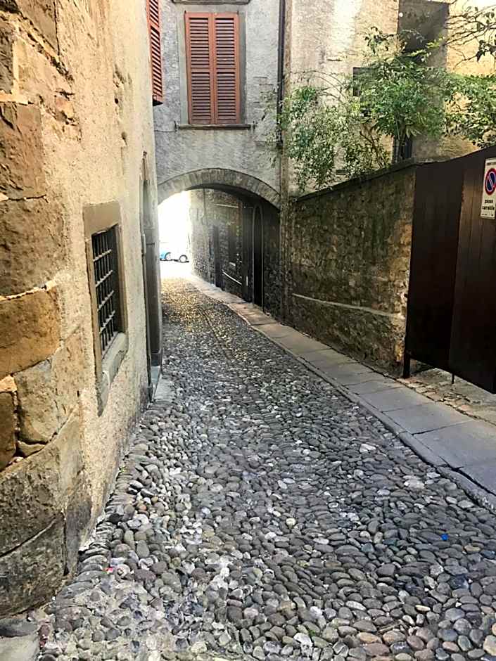 MyRoom Città Alta 1