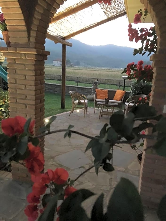 B&B La Nonnina del Cilento