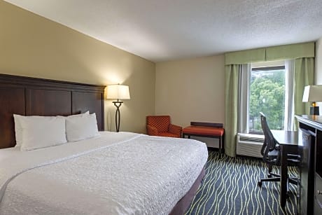1 King Bed Non-Smoking