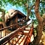 Pezulu Tree House Lodge