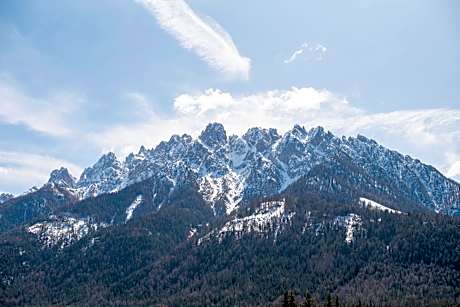 Single Room with Mountain View