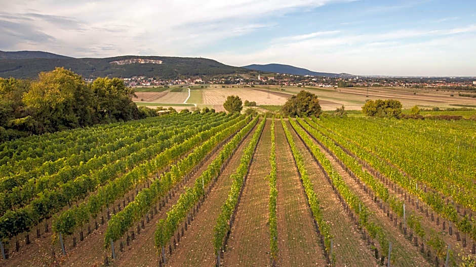 College Garden Hotel