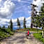 Hotel Berghof