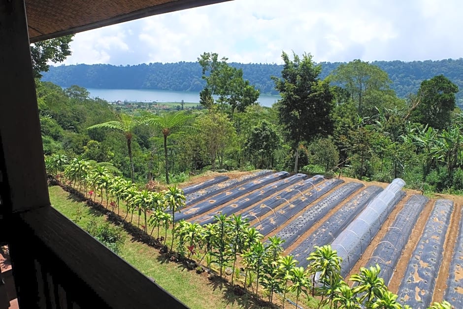 Secret Lodge Bedugul by Taritiya Collection