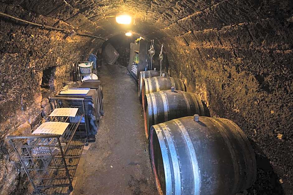 Vaskó Panzió Borpince