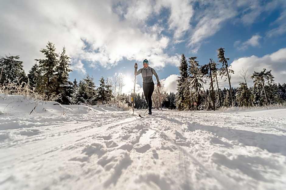 IFA Schöneck Hotel & Ferienpark