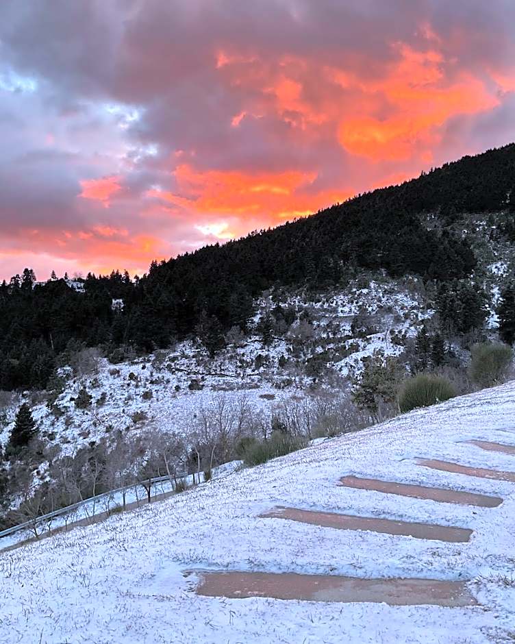 Escapade Luxury Residences