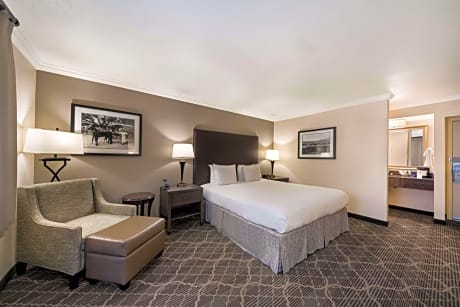 King Room - Pet Friendly/Non-Smoking