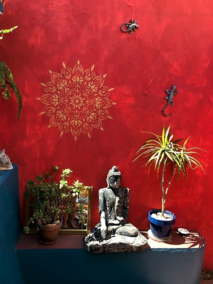 Buddha Bee - 18 to 35 years old only
