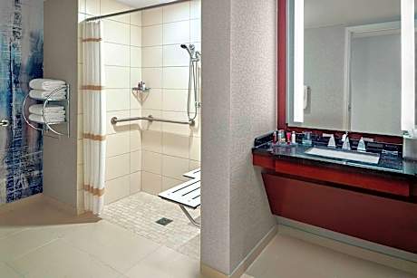 Executive Suite, 1 King, Sofa bed