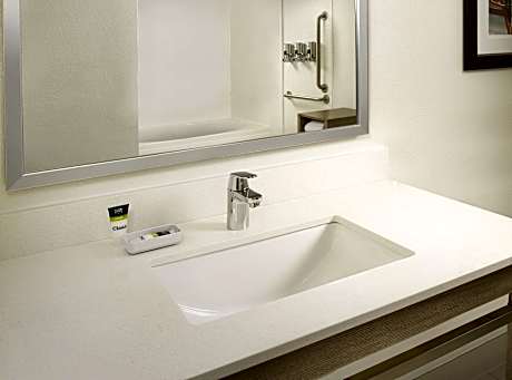 Executive Suite, 1 King Bed with Sofa bed, Balcony (Mobility Accessible, Tub)