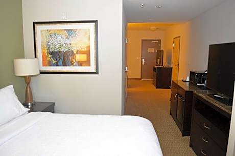 1 King Bed Junior Suite