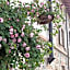Villino di Porporano