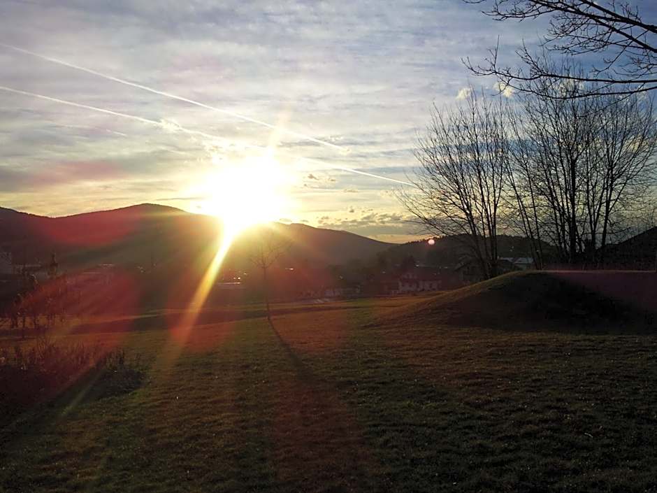 Wellness Hotel Central