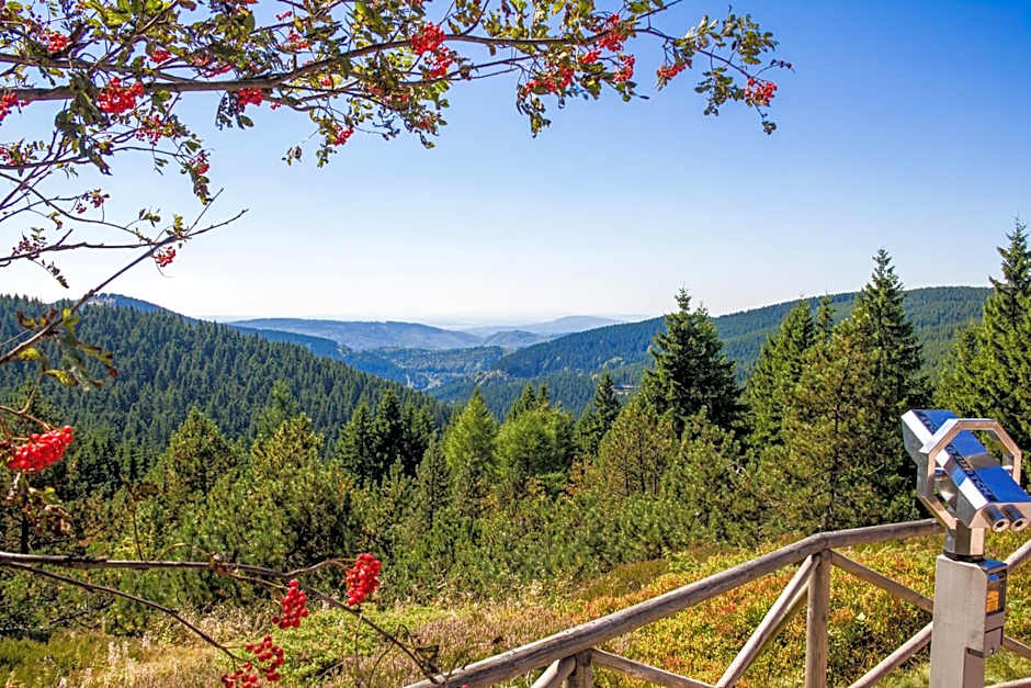 Pension Haus Saarland