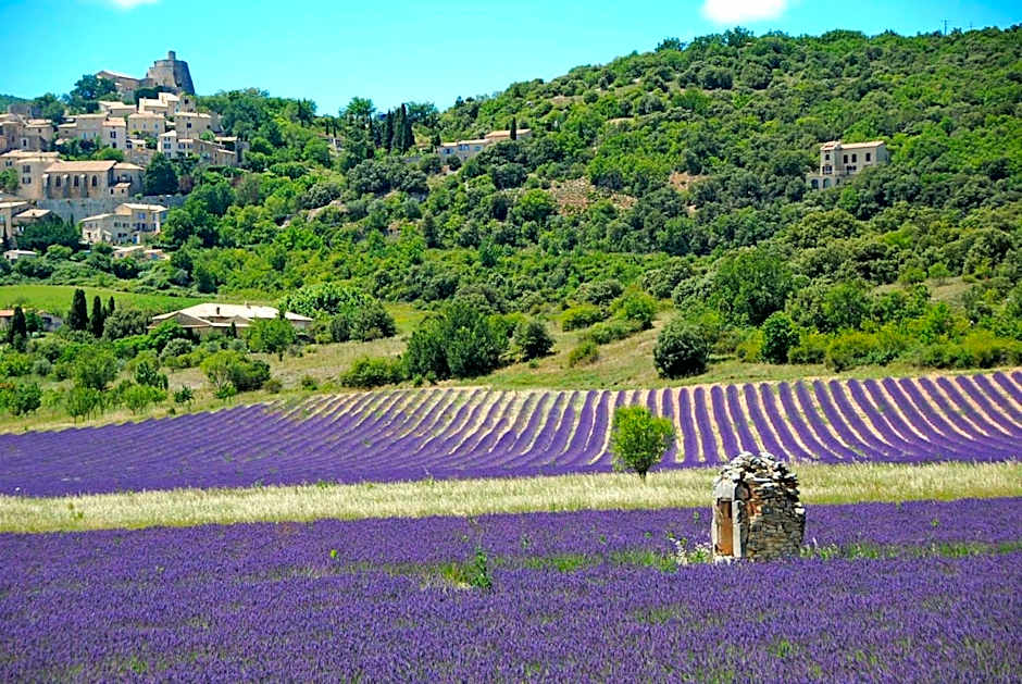 Le Domaine Saint Jean