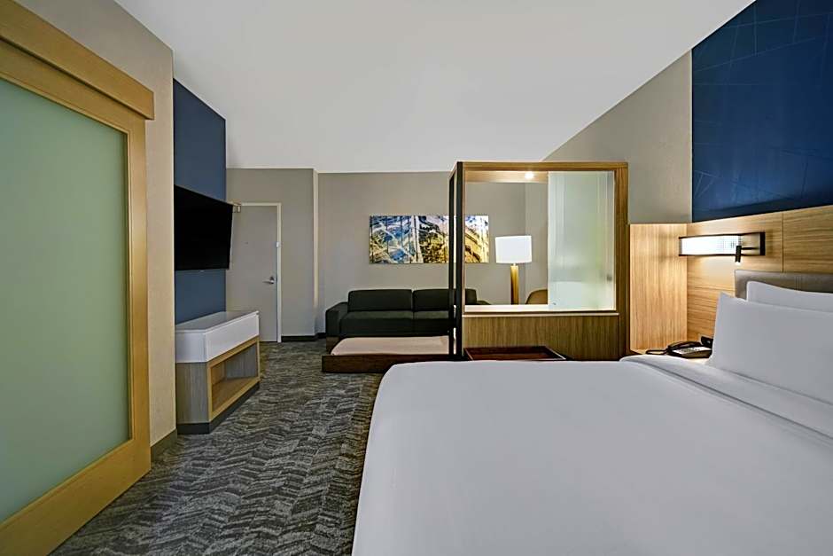Springhill Suites by Marriott St. Paul Arden Hills