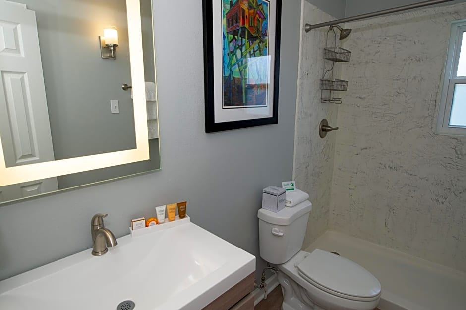 Frenchmen Orleans at 519, Ascend Hotel Collection