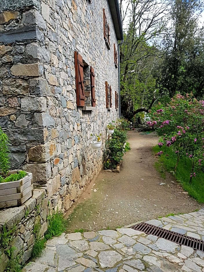 Chambre d'Hôte "Chez Antoinette et Charles"