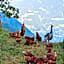 Greiterhof Partschins