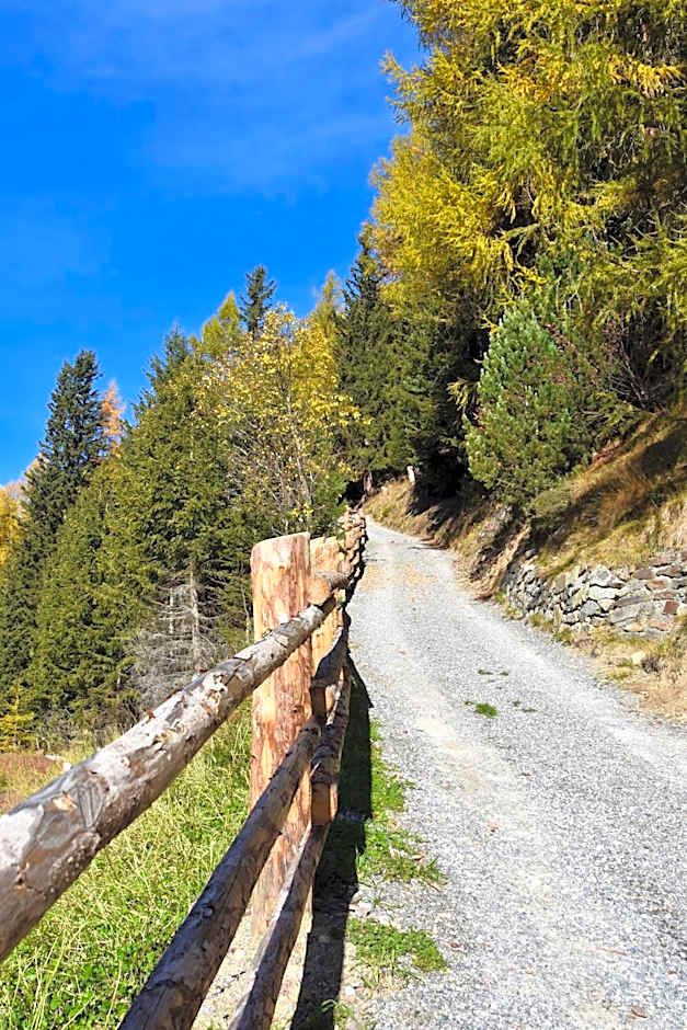 Bed & Breakfast Hostel Nives