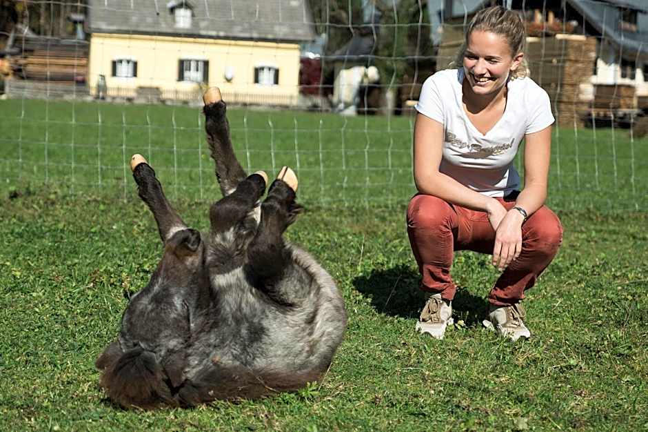 Das Franzl - Bett & Brot