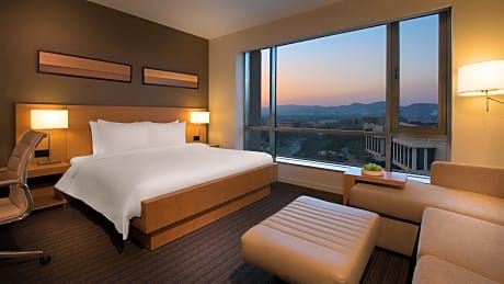 Hyatt Place King