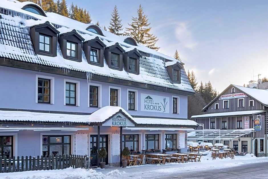 Hotel Krokus