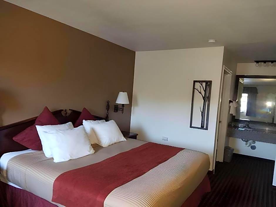 Best Western Johnson City Inn