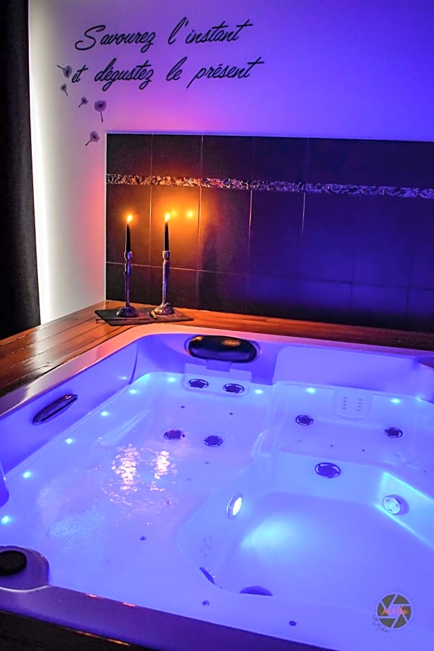 Chambre d h¿tes ind¿ndante Jacuzzi Cave Bar SUITE 785