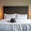 Homewood Suites by Hilton Chicago West Loop