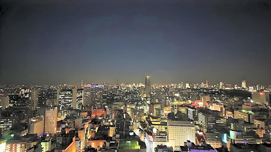 Hotel Gracery Shinjuku