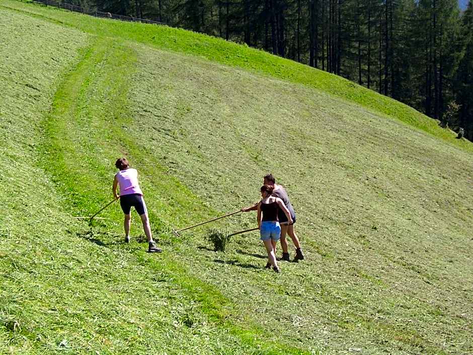 Alpengasthaus Gleinserhof