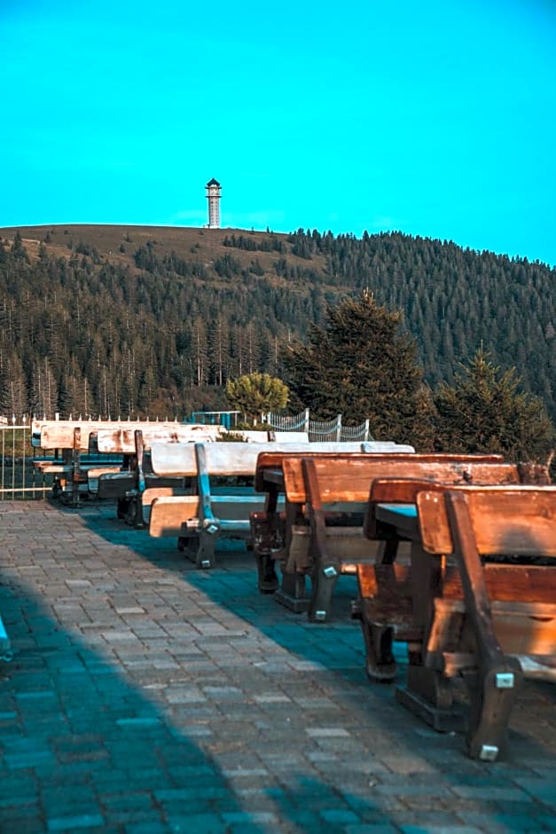 Berggasthof zur Todtnauer Hütte