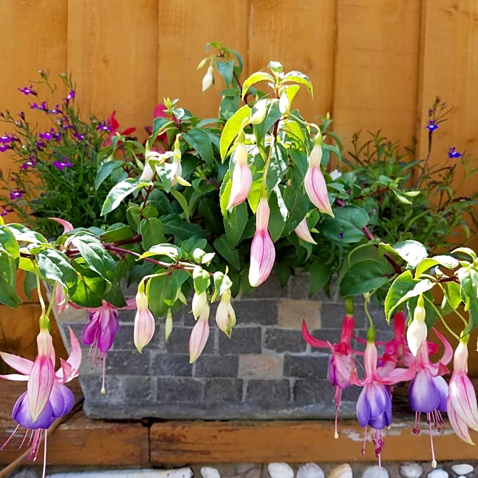 Eden's Rest Bed and Breakfast