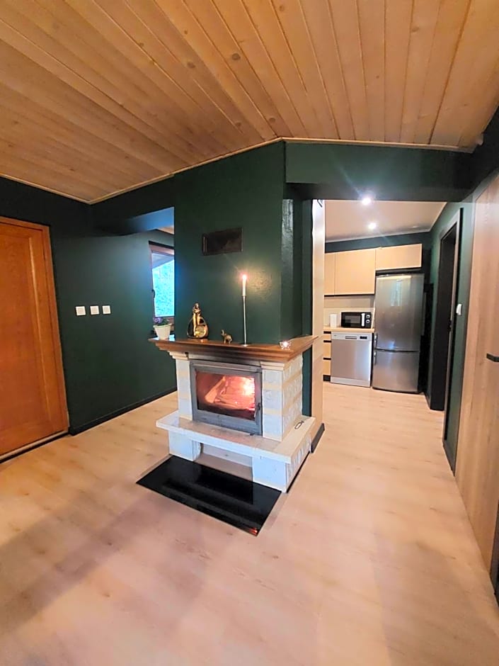 Domek Aleksander z basenem, banią ruską i sauną