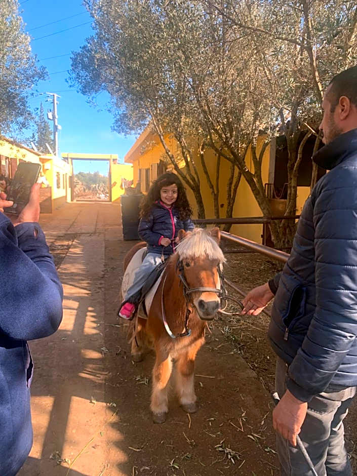 Equi Palace & SPA Near Aeroport