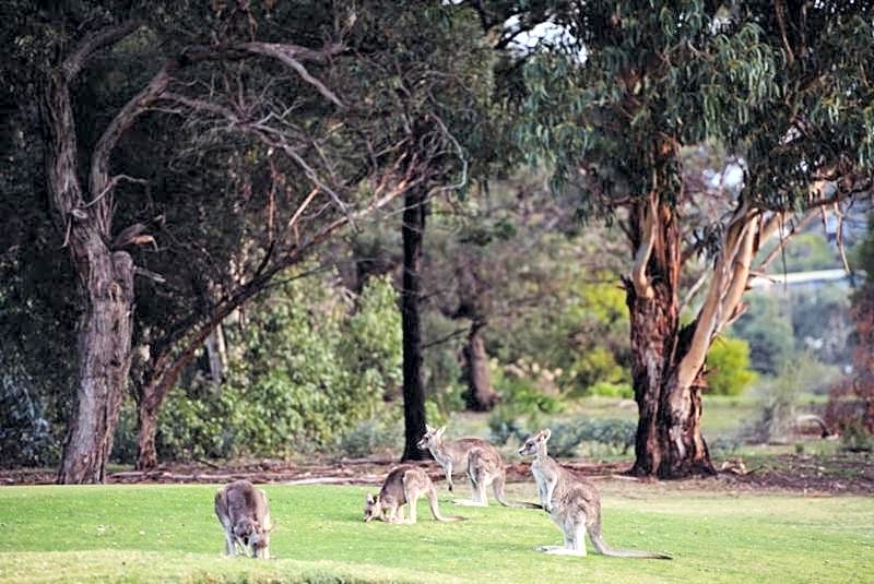 TorquayToongahra BnB