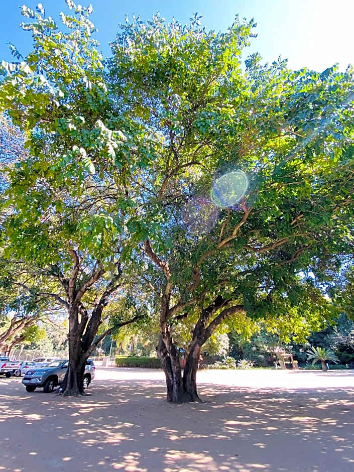 Letaba Junction Lodge