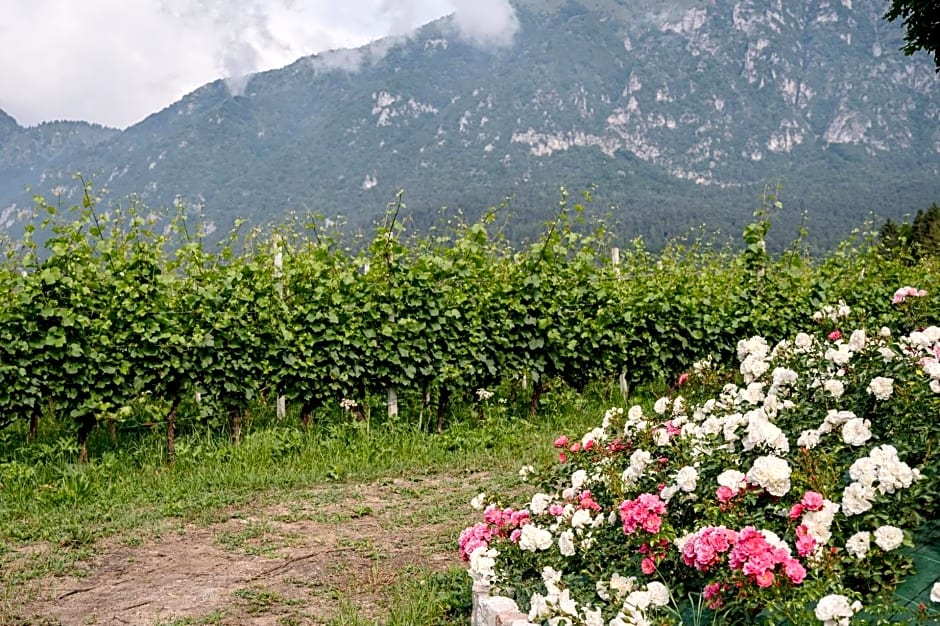 Agritur Maso alle Rose B&B e Restaurant