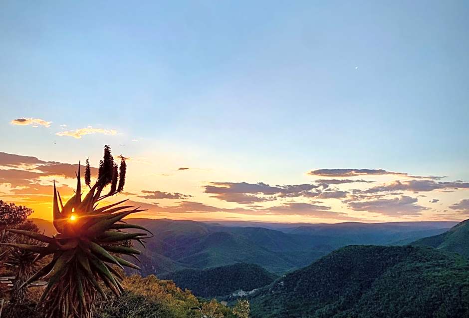 Camp Figtree by The Oyster Collection