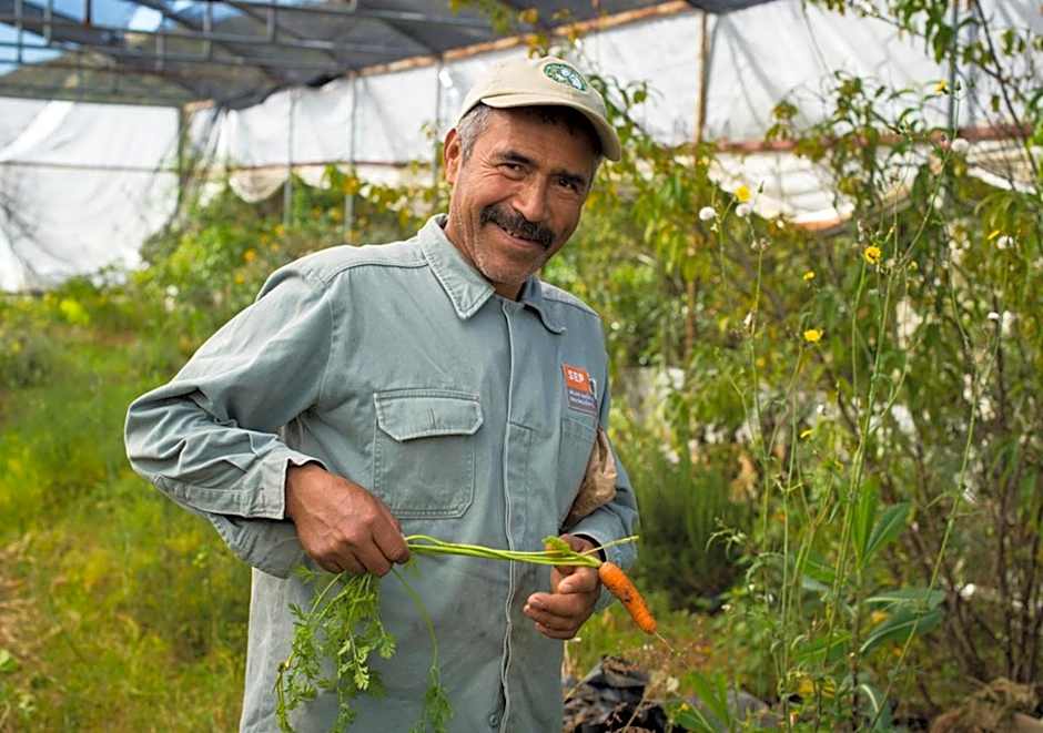 Casa Estrella de la Valenciana Hotel Boutique