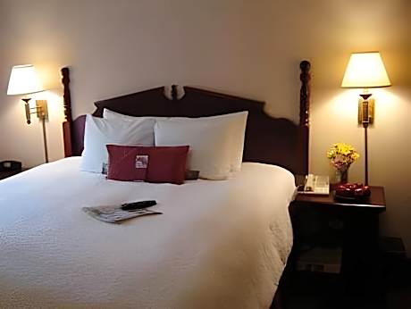 Suite King Bed
