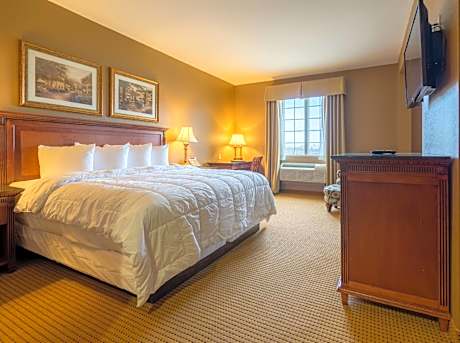 Deluxe King Suite with Sofa Bed