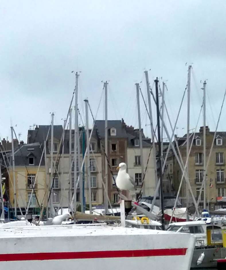 EGG HOTEL - HOTEL LES GENS DE MER Dieppe