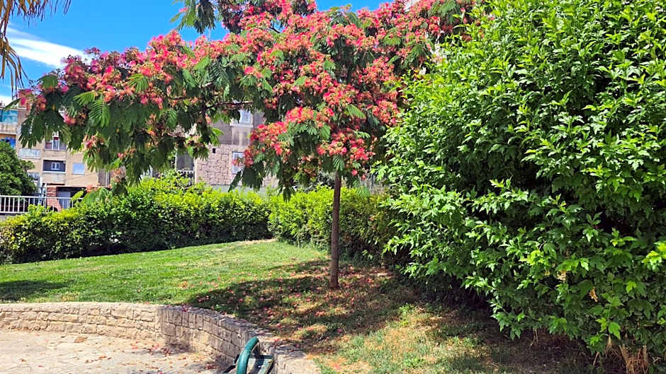 Nirvana Rooms & Apartments