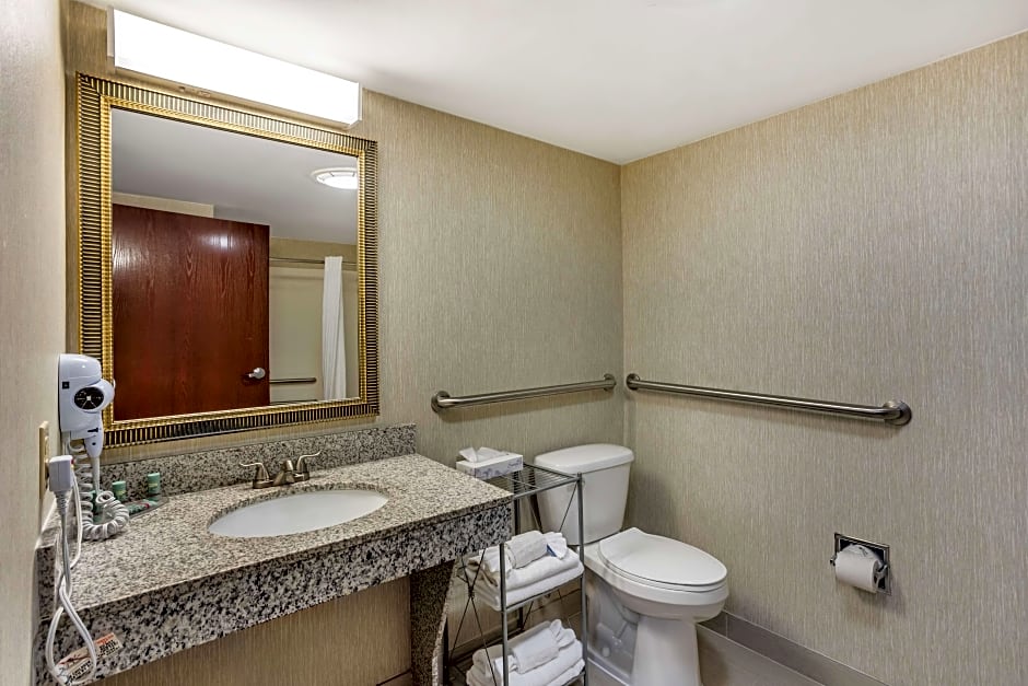 Photo 1 of 5 of 1 King Bed, Mobility Accessible, Bathtub